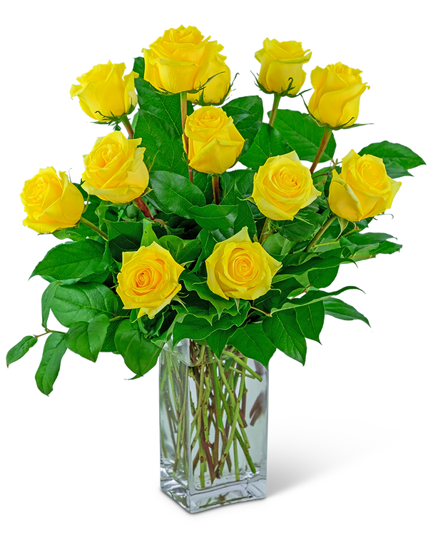 Yellow Roses (12)