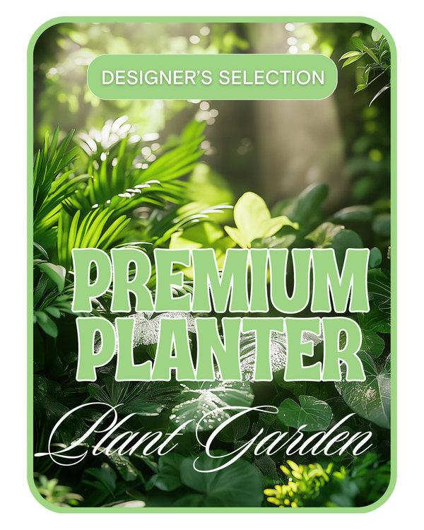 Designer's Choice Premium Planter