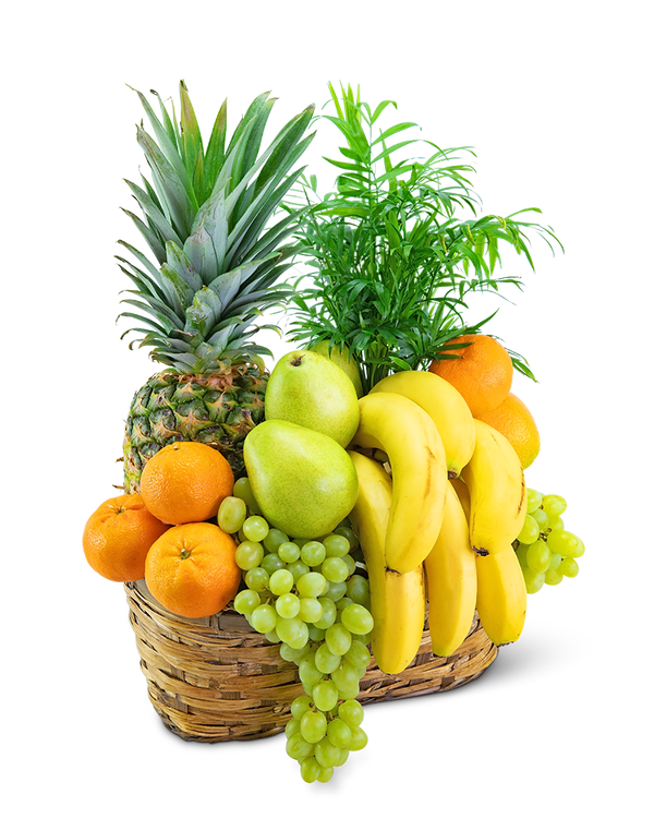 Green Goodness Fruit & Plant Basket