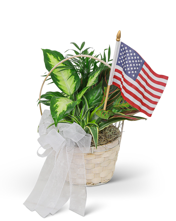 Patriotic Planter