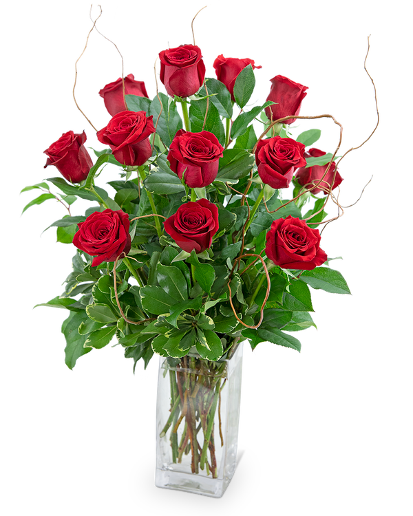 Dozen Red Roses with Willow