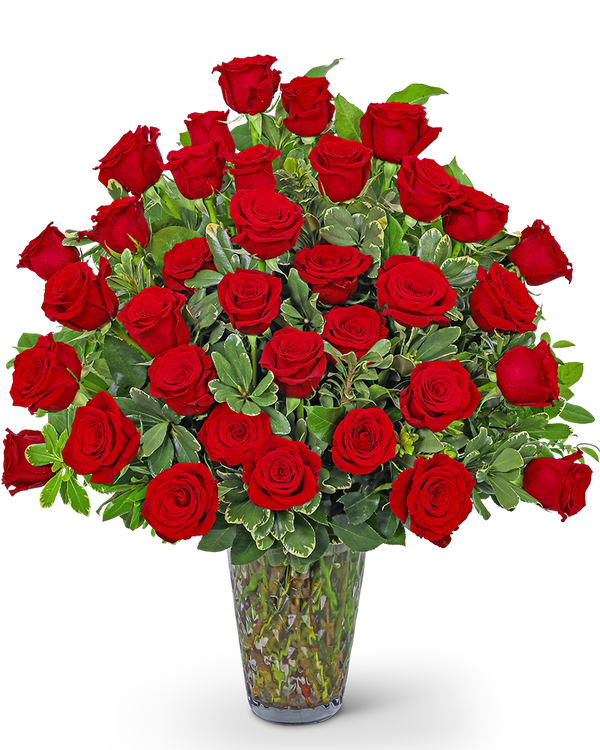 Three Dozen Elegant Red Roses