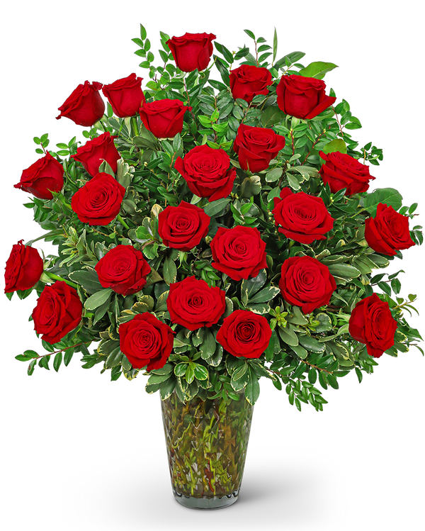 Two Dozen Elegant Red Roses